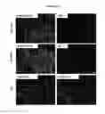 Fig. 13 - Methods and compositions for producing hepatocyte-like cells