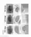 Fig. 14 - Methods and compositions for producing hepatocyte-like cells