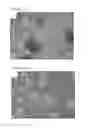 Fig. 29 - Methods and compositions for producing hepatocyte-like cells