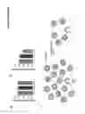 Fig. 23 - Modified arenavirus