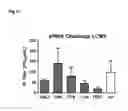 Fig. 25 - Modified arenavirus
