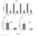 Fig. 02 - Compositions and methods for treating a viral infection
