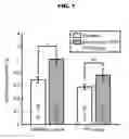 Fig. 02 - DESIGNER RECEPTORS FOR MODULATING PAIN AND METHODS OF USE THEREOF