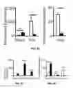 Fig. 07 - THERMOGENIC COMPOSITIONS AND METHODS