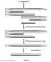 Fig. 43 - XTEN conjugate compositions and methods of making same
