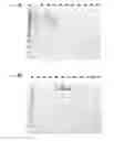 Fig. 49 - XTEN conjugate compositions and methods of making same