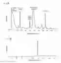 Fig. 71 - XTEN conjugate compositions and methods of making same