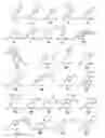 Fig. 01 - METHODS FOR PRODUCING PEPTIDES AND USES THEREOF