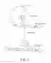 Fig. 03 - METHODS FOR PRODUCING PEPTIDES AND USES THEREOF