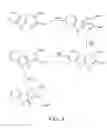 Fig. 05 - METHODS FOR PRODUCING PEPTIDES AND USES THEREOF