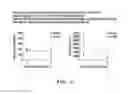 Fig. 07 - Methods for treating netosis and neutrophil activation
