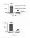 Fig. 22 - Methods for treating netosis and neutrophil activation