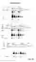 Fig. 09 - Adenovirus based malaria vaccine encoding and displaying a malaria antigen