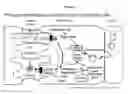 Fig. 02 - PLANT STEROIDS AND USES THEREOF