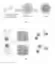 Fig. 02 - CROSSLINKED POLYMER NANO-ASSEMBLIES AND USES THEREOF