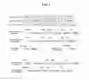 Fig. 02 - Systems and Methods for Nucleic Acid Expression In Vivo