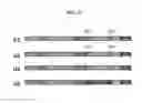 Fig. 38 - Systems and Methods for Nucleic Acid Expression In Vivo