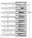 Fig. 16 - CATHETER APPARATUS WITH TELESCOPING LUMEN CATHETERS AND ITS USE IN METHODS FOR TREATING VASCULATURES