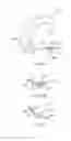 Fig. 45 - COMPONENTRY AND DEVICES FOR LIGHT THERAPY DELIVERY AND METHODS RELATED THERETO