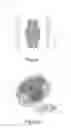 Fig. 02 - Wheels for displacement trucks
