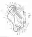 Fig. 02 - Car seat and connection system