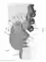 Fig. 02 - Sand trailer