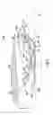 Fig. 02 - Ceramic matrix composite articles formation method
