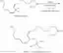 Fig. 35 - Site-specific isotopic labeling of 1,4-diene systems