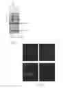 Fig. 02 - Modulators of sphingosine phosphate receptors
