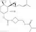 Fig. 197 - FUMAGILLOL HETEROCYCLIC COMPOUNDS AND METHODS OF MAKING AND USING SAME