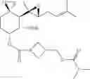 Fig. 197 - FUMAGILLOL HETEROCYCLIC COMPOUNDS AND METHODS OF MAKING AND USING SAME