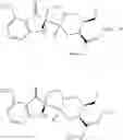 Fig. 149 - Mitragynine alkaloids as opioid receptor modulators