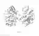 Fig. 07 - Wee1 kinase inhibitors and methods of making and using the same