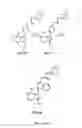 Fig. 04 - Substituted imidazolopyrazine compounds and methods of using same