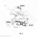 Fig. 08 - Substituted imidazolopyrazine compounds and methods of using same
