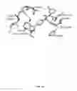 Fig. 41 - Substituted imidazolopyrazine compounds and methods of using same