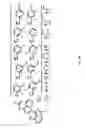 Fig. 52 - Substituted imidazolopyrazine compounds and methods of using same
