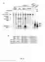 Fig. 64 - Substituted imidazolopyrazine compounds and methods of using same