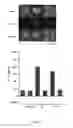 Fig. 74 - Substituted imidazolopyrazine compounds and methods of using same