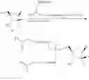 Fig. 44 - HCV POLYMERASE INHIBITORS