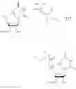 Fig. 76 - 5′-cyclo-phosphonate modified nucleotides