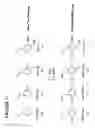Fig. 22 - Massive parallel method for decoding DNA and RNA