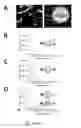 Fig. 09 - Polymeric organic nanoparticles with enhanced emission
