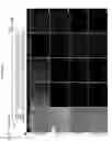 Fig. 12 - Methods for epicardial differentiation of human pluripotent stem cells
