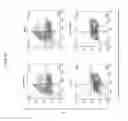 Fig. 19 - Methods for epicardial differentiation of human pluripotent stem cells