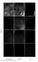Fig. 23 - Methods for epicardial differentiation of human pluripotent stem cells