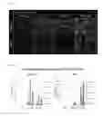 Fig. 02 - METHOD OF EXPANSION OF HUMAN PANCREAS PROGENITOR CELLS FROM STEM CELLS USING FEEDER-CONDITIONED MEDIA