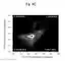 Fig. 09 - High-speed in vitro screening method