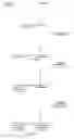 Fig. 01 - Defined multi-conjugate oligonucleotides