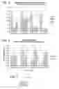 Fig. 04 - Defined multi-conjugate oligonucleotides